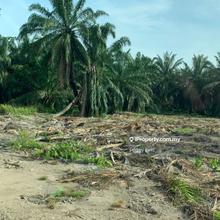 Agriculture land for Sale