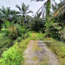 5 Acre Agricultural Land in Telok Panglima Garang Rm 7,000/Month