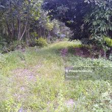 Sale 4.1 acre Agriculture land Pontian Bridge 