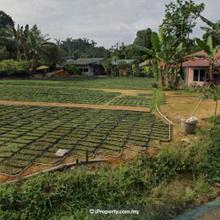 Agriculture land for Sale