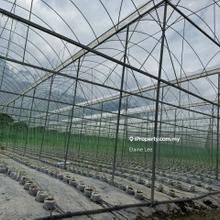 Lojing Highlands Land for Rent, Kelantan