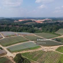 38.1 Acres (3 Pieces) Agriculture Land @ Kempas Area, Taman Sri Puteri