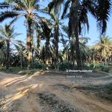 4.6 Acres Agriculture Land @ Layang-Layang, Johor