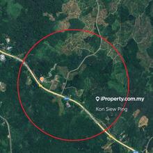 Perpetuity Title! Mixed Zone Lands Pan Borneo highway in Saratok area