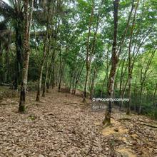 3.39 acres agri land Kelumpang Selangor
