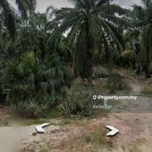 Agricutural Land For Sale In Jenjarom