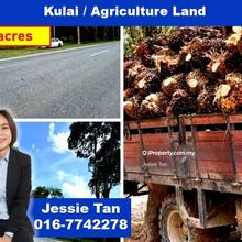 Kulai bukti batu sedenak agriculture land for sale