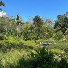 11.8acres Karak, Pahang Agriculture Land, Durian, Mangosteen, Papaya