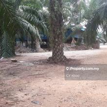Agriculture land for Sale