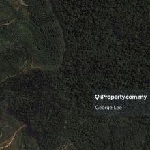 Agriculture land for Sale