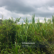 For Sale agriculture land 