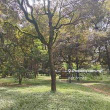 Tanah Pertanian ada kebun durian di Labu Salak Tinggi 