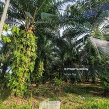 Land zoning industrial