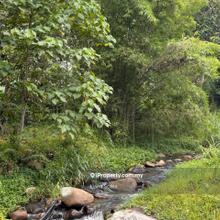 Strategic Land For Investment & Development at Janda Baik