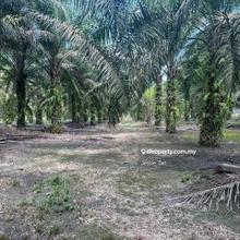Gelang patah ulu pulai agriculture land for sale