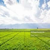 Seremban Port Dickson Land For Sale 