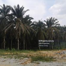 Industrial land for Sale