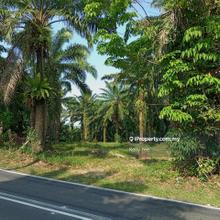Agriculture Land in Machang Bubok for Sale