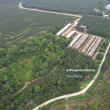 Trong Agricultural Land for Sale