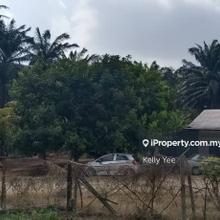 Agriculture Land @ Kampung Selamat, Tasek Gelugor for Sale