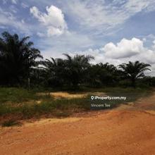 393 Acre Palm Oil Estate Zoned Industry Bukit Kuin Kuantan