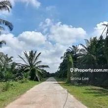 Agriculture land for Sale