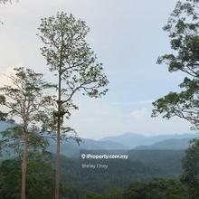 Janda Baik tanahrimba bentong Agriculture land for Sale 
