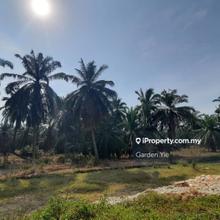 Agriculture land for Sale