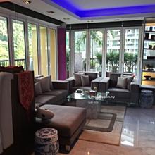 Fully Renovated Unit