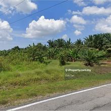 Pontian Agriculture Land