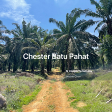 Kangkar Senangar Agri Land For Sale 