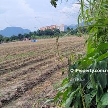 Agricultural Land within township
