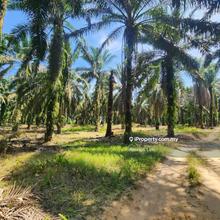 For Sale. Agriculture Land@ Ayer Bemban, Kulai