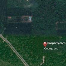 Gambang, Kuantan - lfs005 Agriculture Land