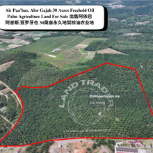 Air Paa'bas, Alor Gajah 30 Acres Freehold Oil Palm Agriculture Land