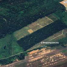 Industrial Land at Senai 