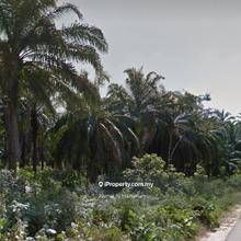Tanah Pertanian Berdekatan Bandar Serenia