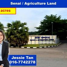 Senai agriculture land for sale beside omega