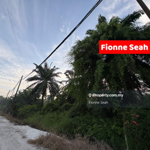 2.9 Acres Agriculture Land for Rent with Road Access