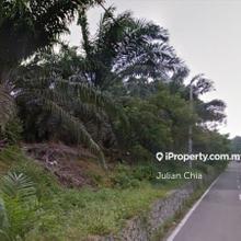8.2 ac oil palm tree plantation