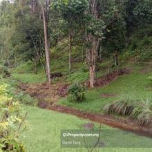Agricultural Land For Sale.