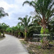 17.37 Acres Freehold Agricultural land near Jln Lipis
