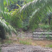 Agriculture land for Sale