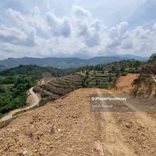 6.3 Acres Freehold Agricultural Land For Sale @ Bentong, Pahang