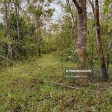 Tanah Pertanian Kg Tanjung Besar Kuala Lipis Pahang Freehold Murah