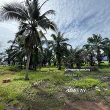 2.16 Acre  Jeram @ Kuala Selangor Beside Mainroad Agricultural Land 
