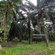 Kota Tinggi Lukut Cina Agricultural Land for Sale