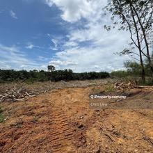 Durian Tunggal Melaka future potential growth agricultural flat land