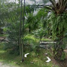 Industrial Land @ Permatang Tinggi for Sale
