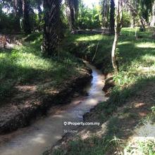 Chenderiang Jln Tapah Agriculture land for Sale